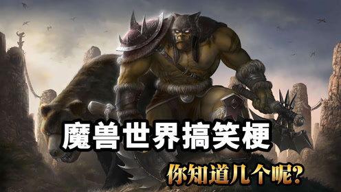 魔兽世界搞笑的梗,笑出腹肌的搞笑梗大盘点